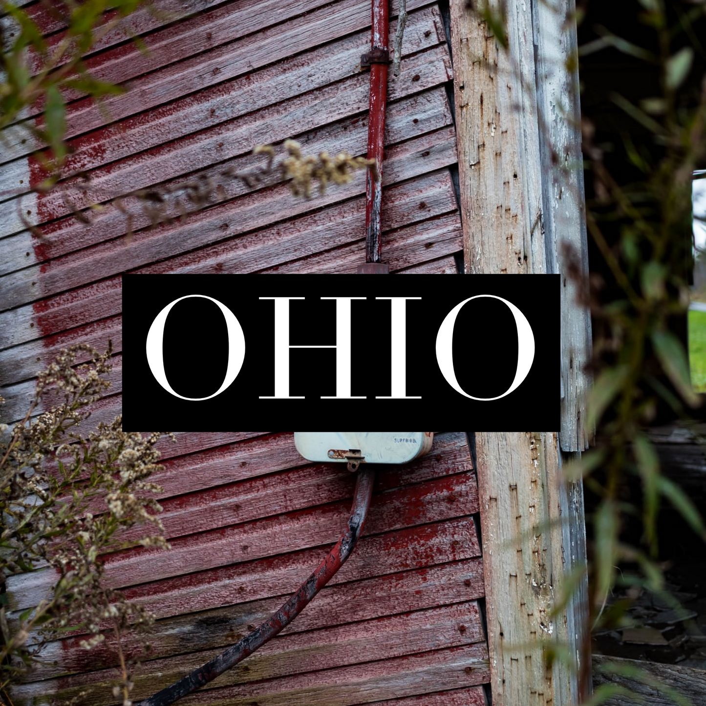 Ohio (Pre Order)