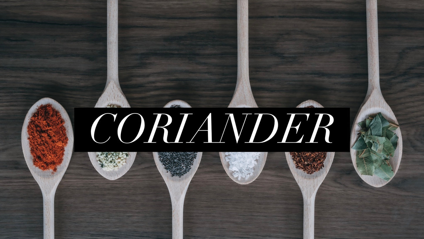 Coriander