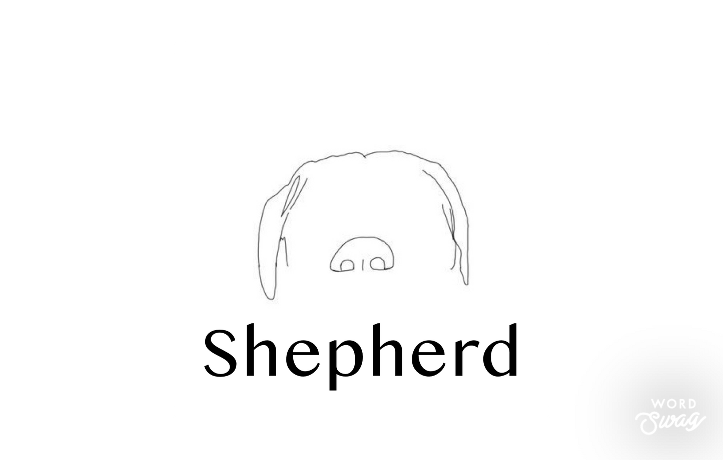 Shepherd