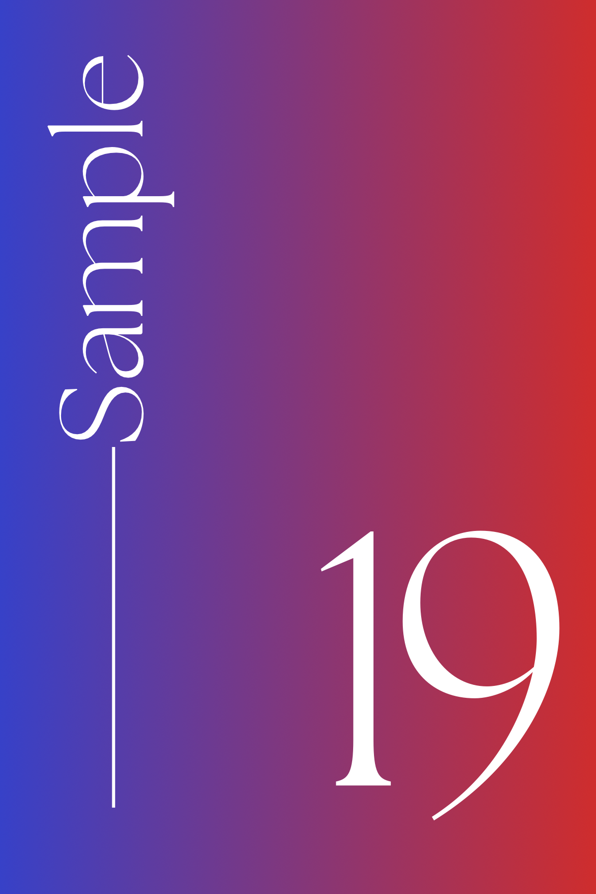 RS19