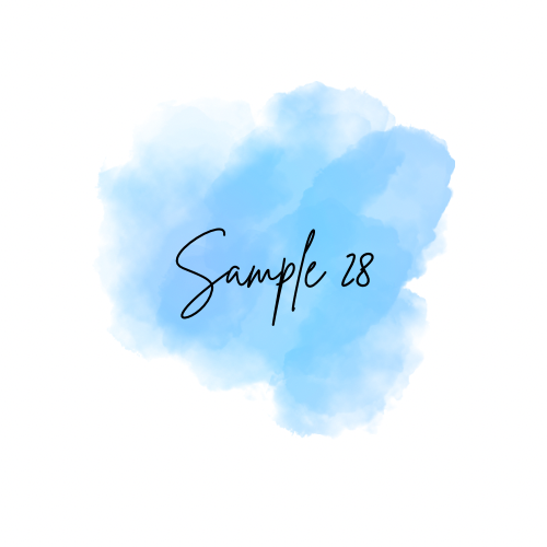 TS28 Rebel Gypsy- L Denim Vest