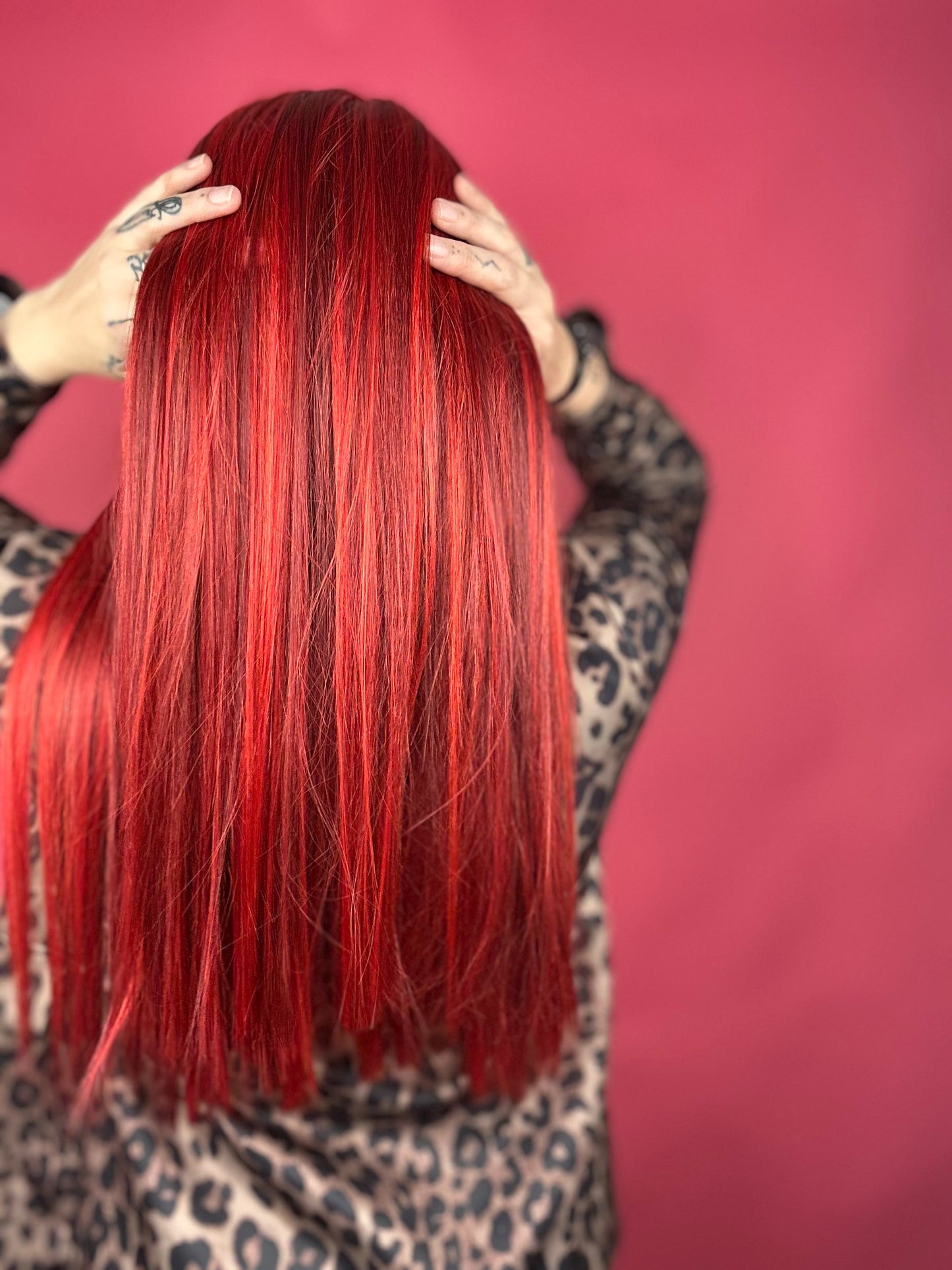 Manipulating Fantasies