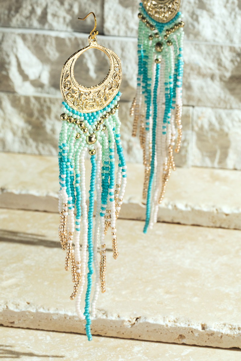 Treasure Trove Seed Bead Fringe Earrings