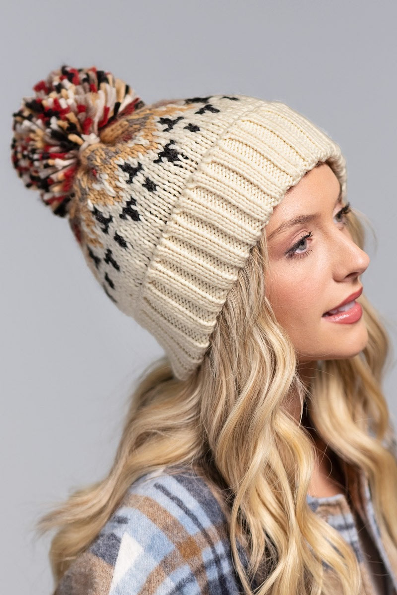 Always Different Multicolor PomPom Beanie