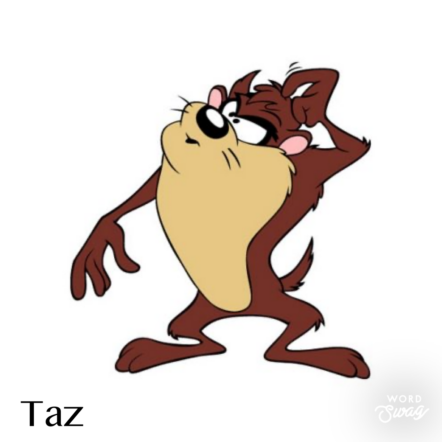Taz (Pre Order)
