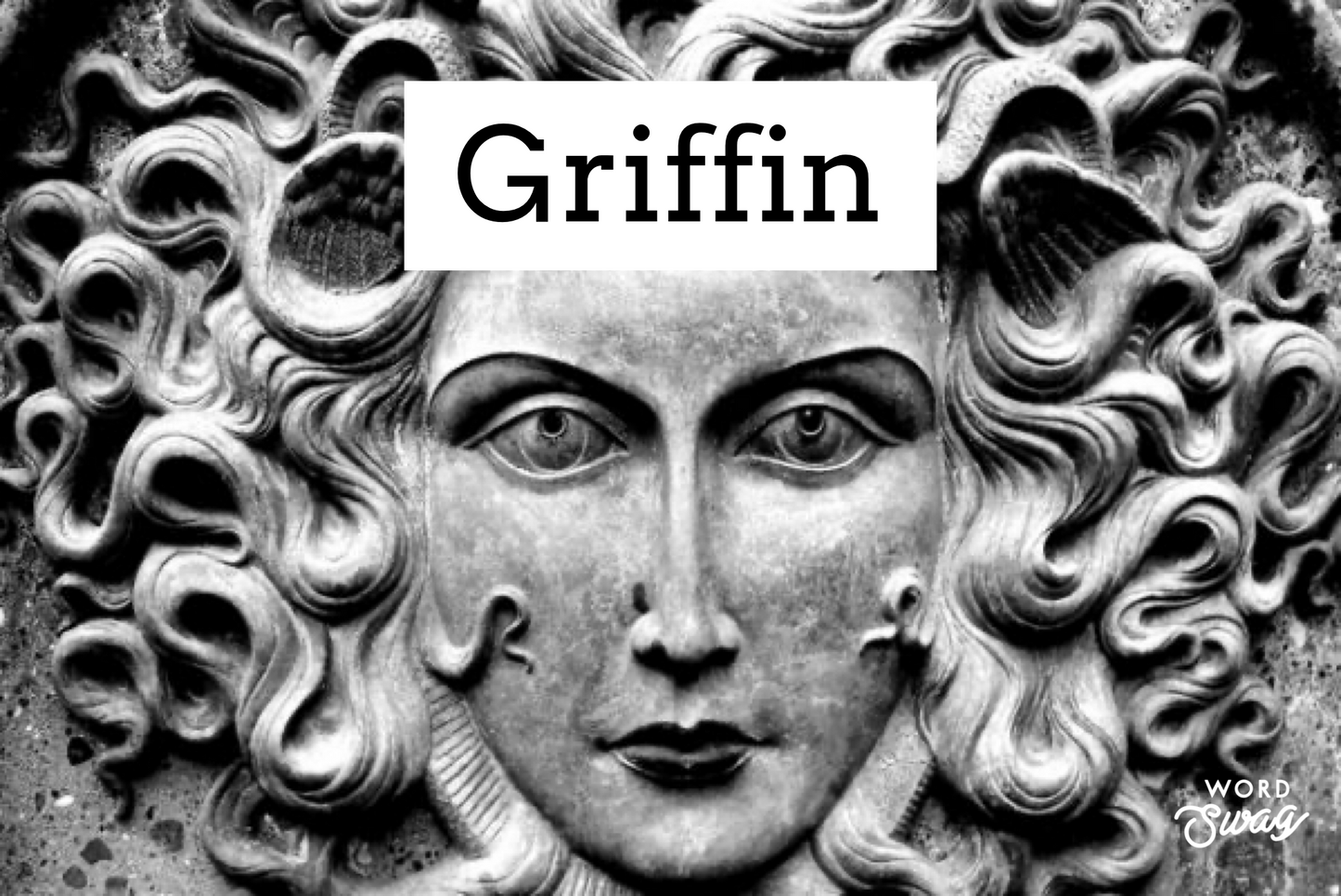 Griffin (Pre Order)