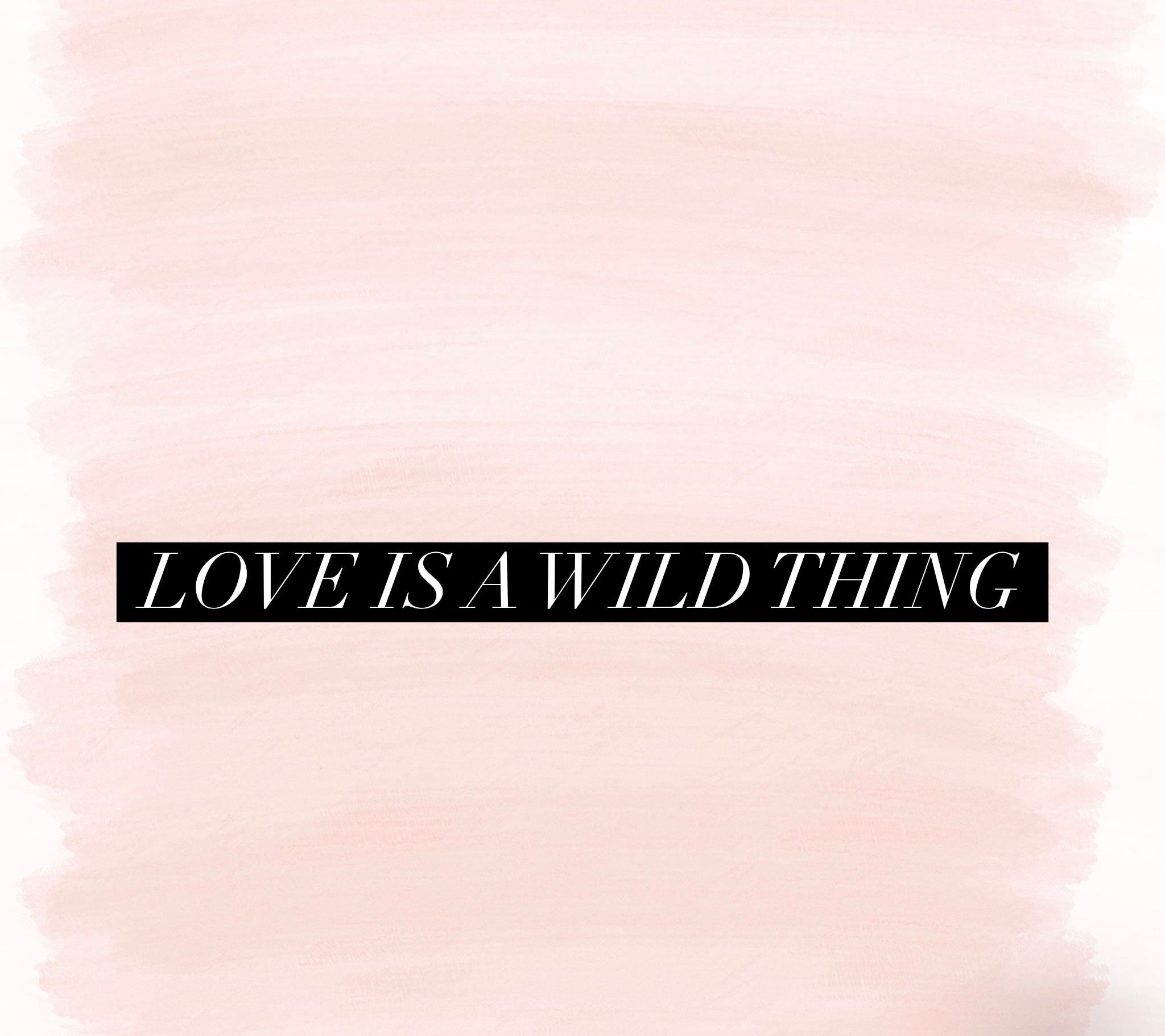 Love Is A Wild Thing (Special Order)