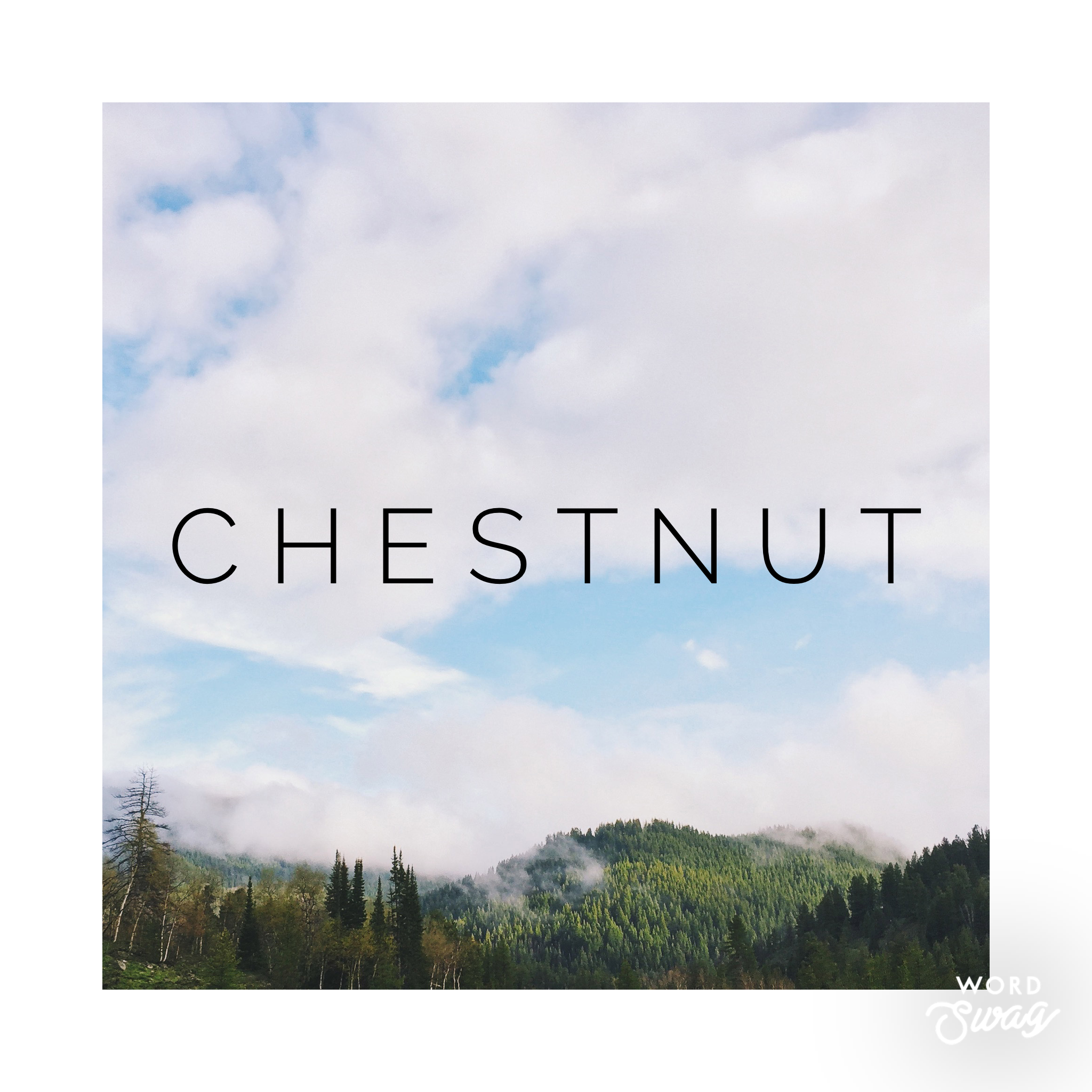 Chestnut-Preorder