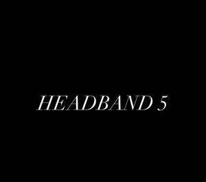 Headband 5