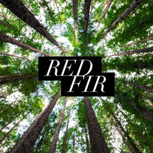 Red Fir (Pre Order)