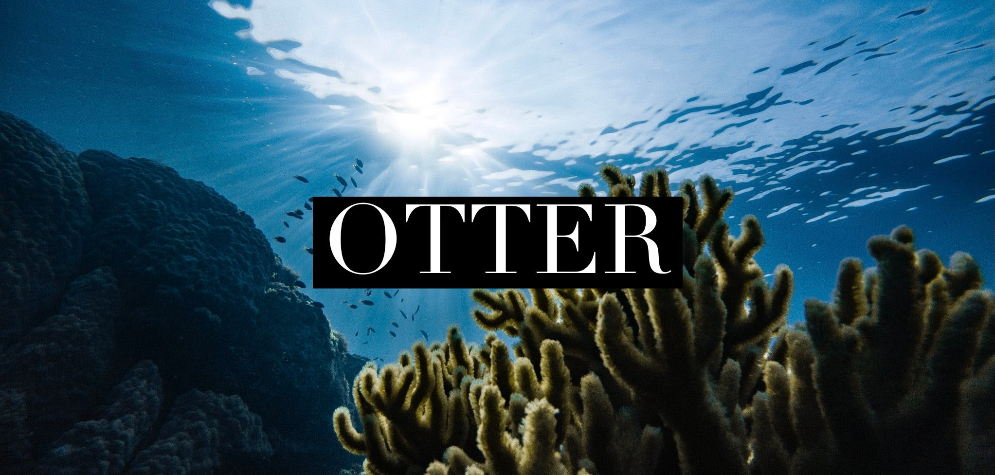 Otter