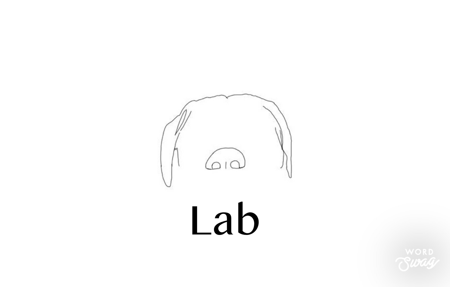 Lab (Special Order)